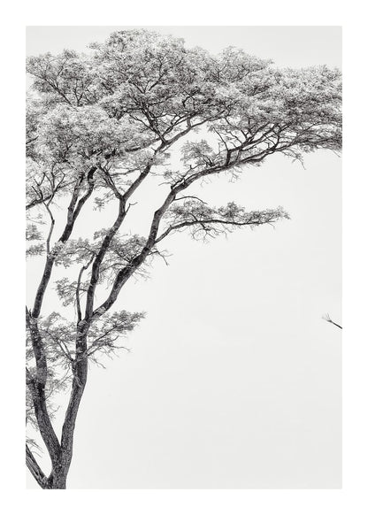 variant-50x70_with-margin