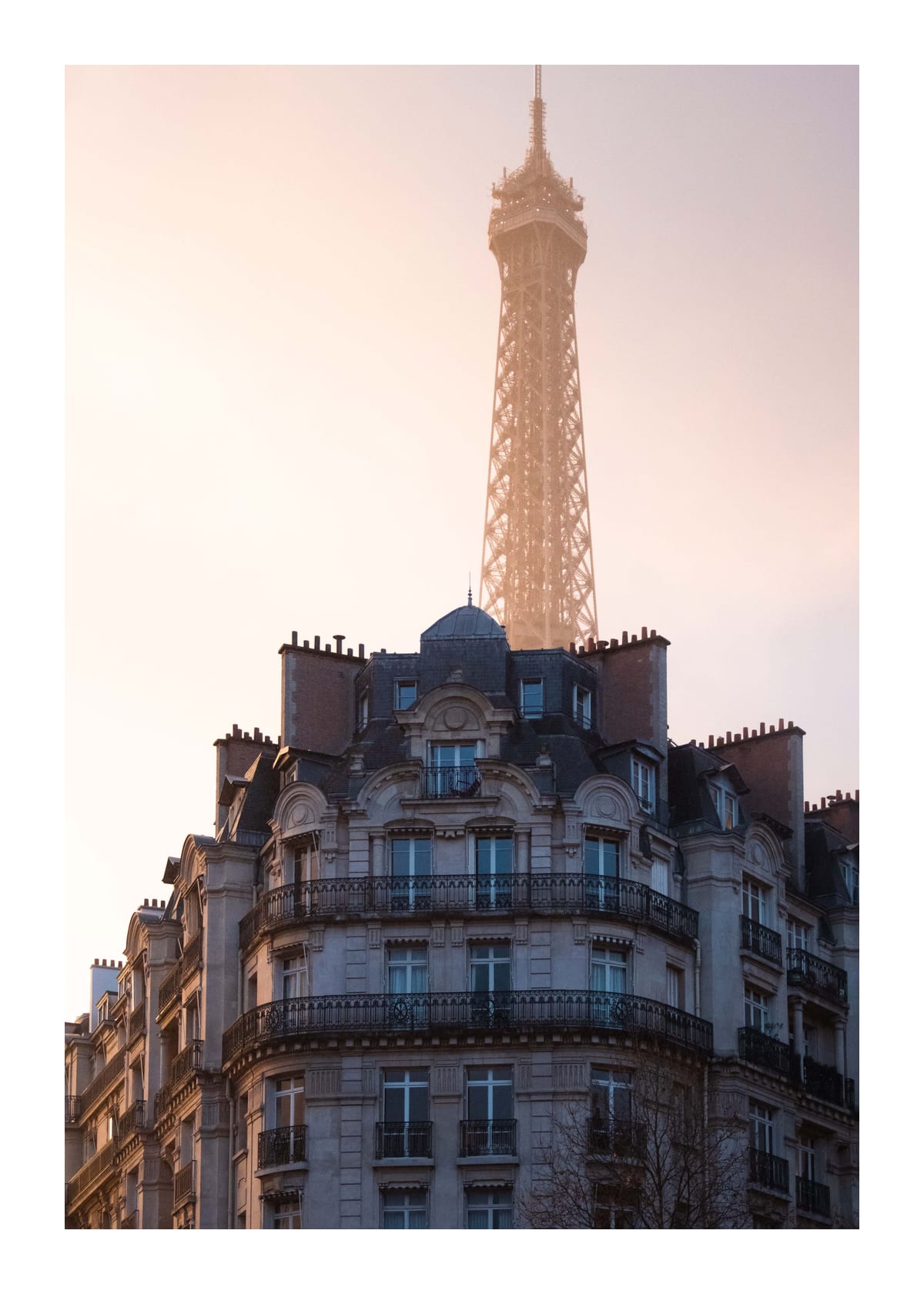 variant-50x70_with-margin