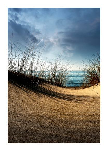variant-50x70_with-margin