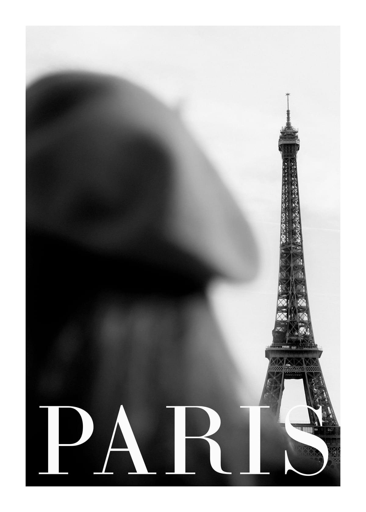 variant-50x70_with-margin