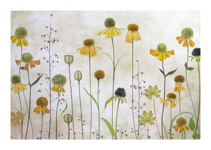 variant-50x70_with-margin
