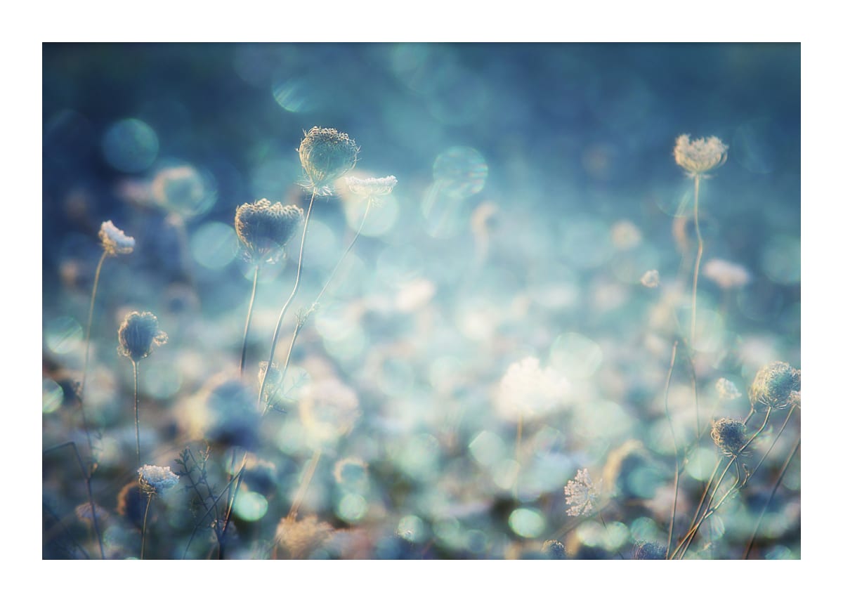 variant-50x70_with-margin