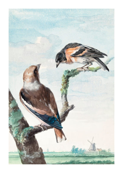 variant-50x70_with-margin