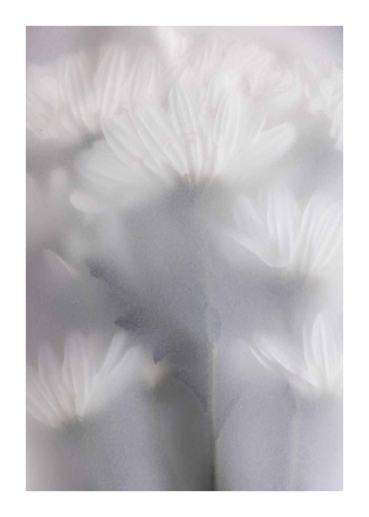 variant-50x70_with-margin