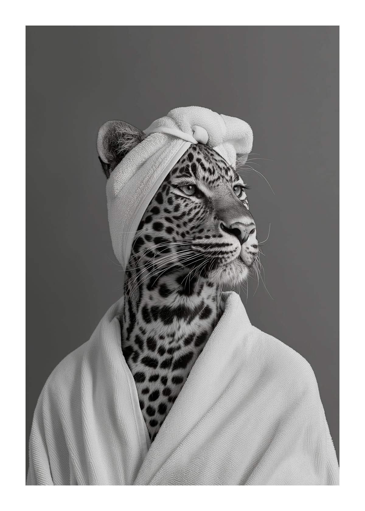 variant-50x70_with-margin