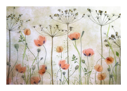 variant-50x70_with-margin