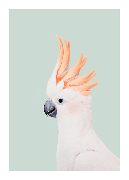 variant-50x70_with-margin