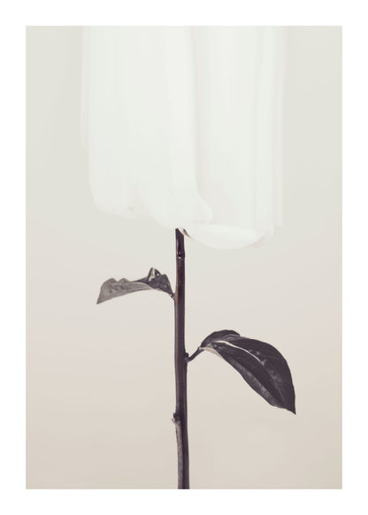 variant-50x70_with-margin