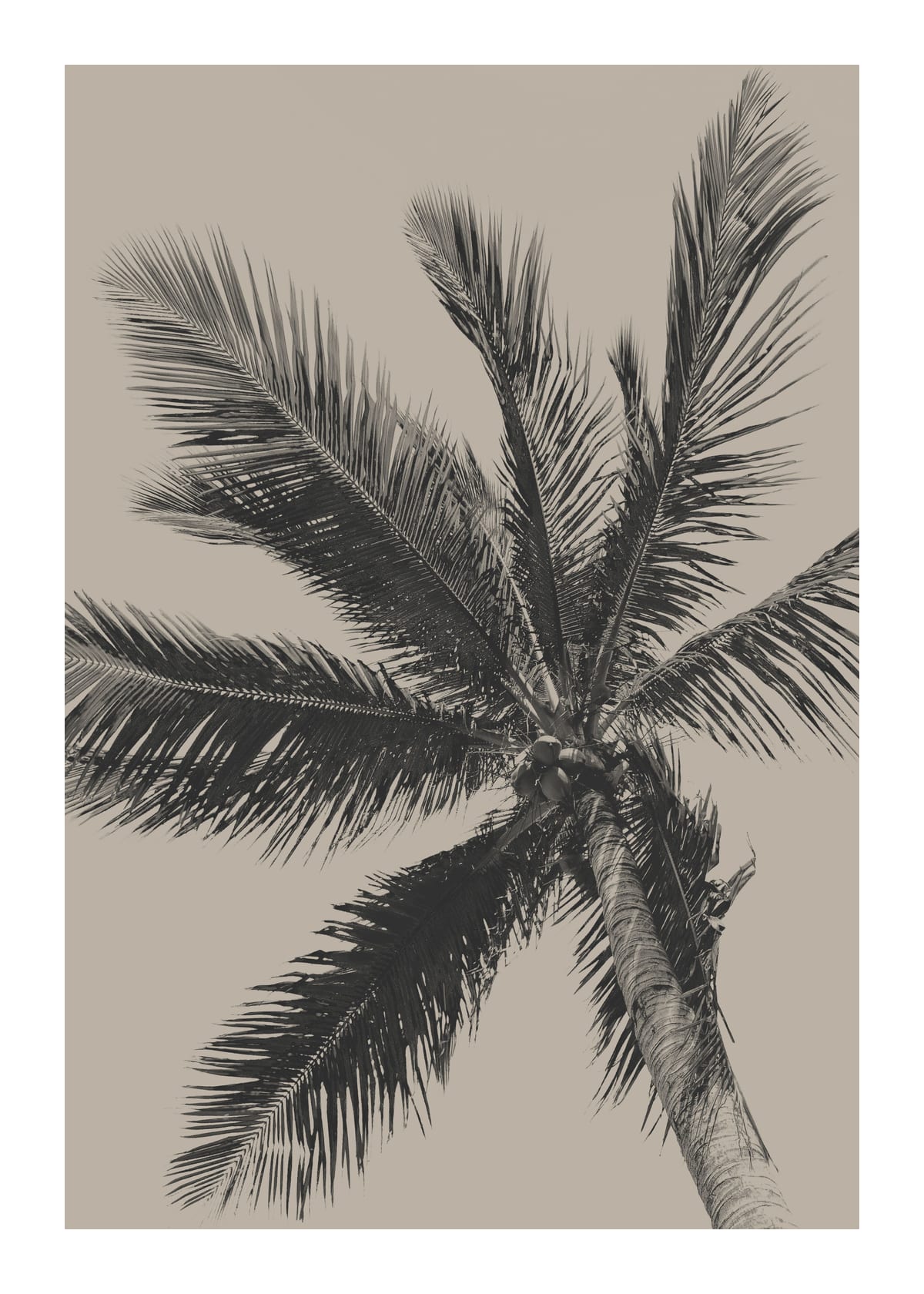 variant-50x70_with-margin
