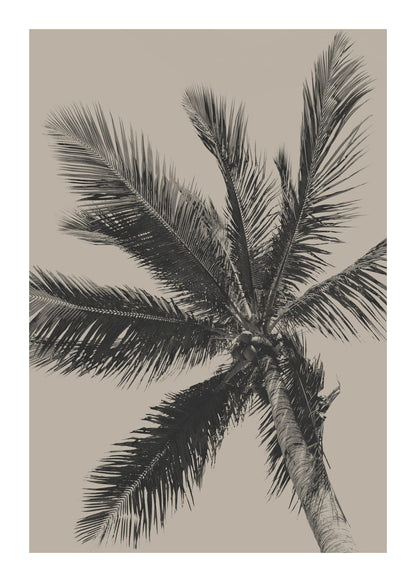 variant-50x70_with-margin