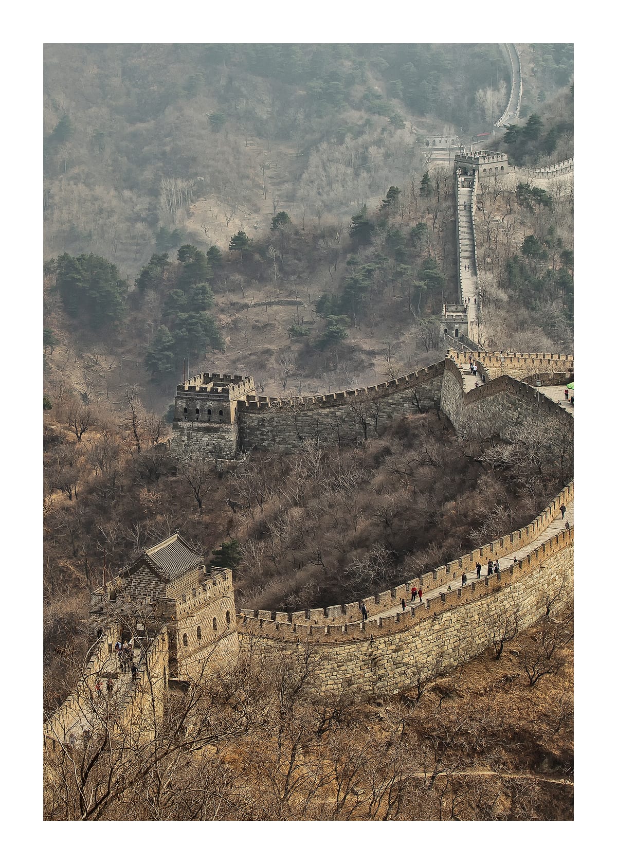 variant-50x70_with-margin