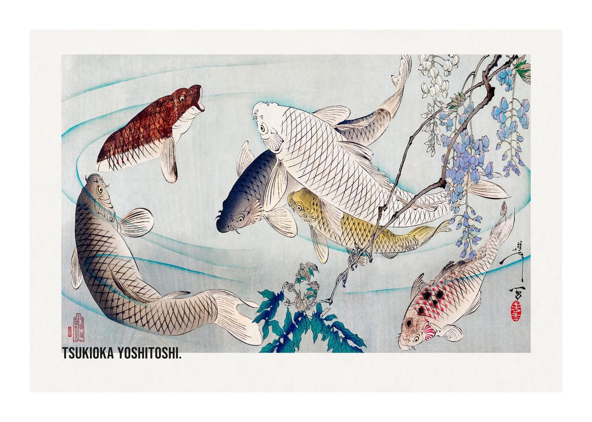 variant-50x70_with-margin