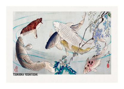 variant-50x70_with-margin