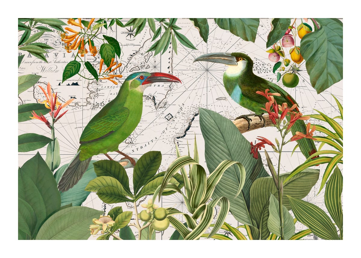 variant-50x70_with-margin