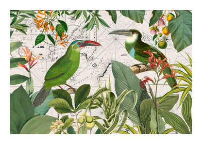 variant-50x70_with-margin