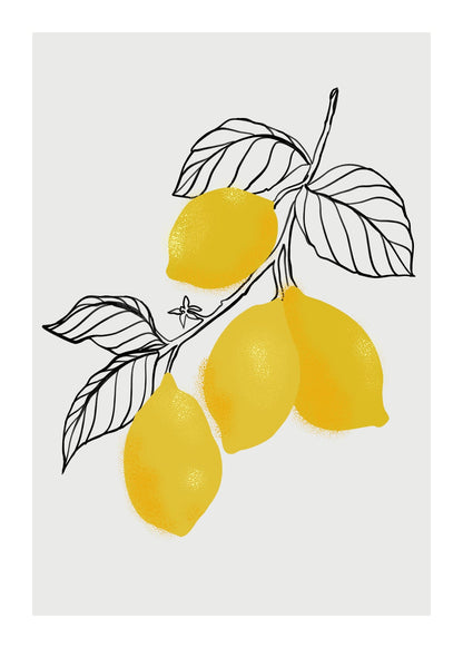 variant-50x70_with-margin