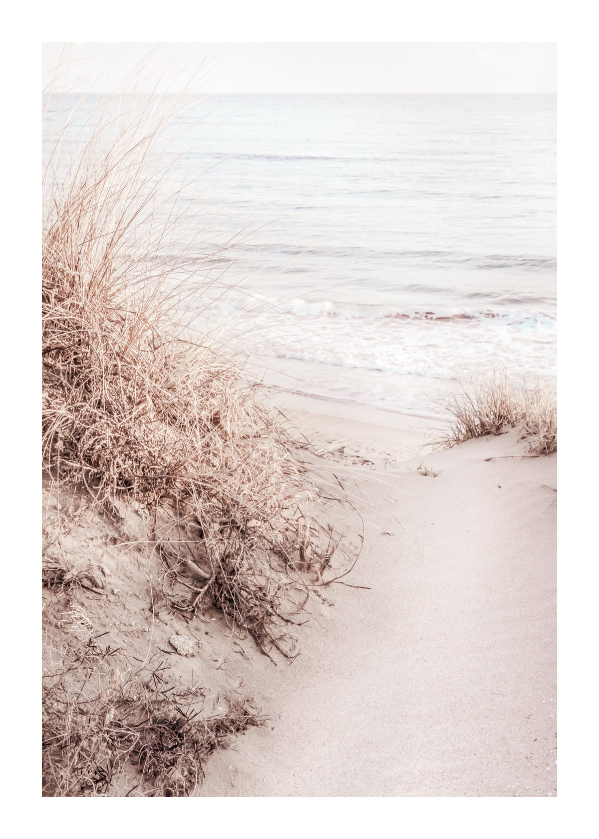 variant-50x70_with-margin