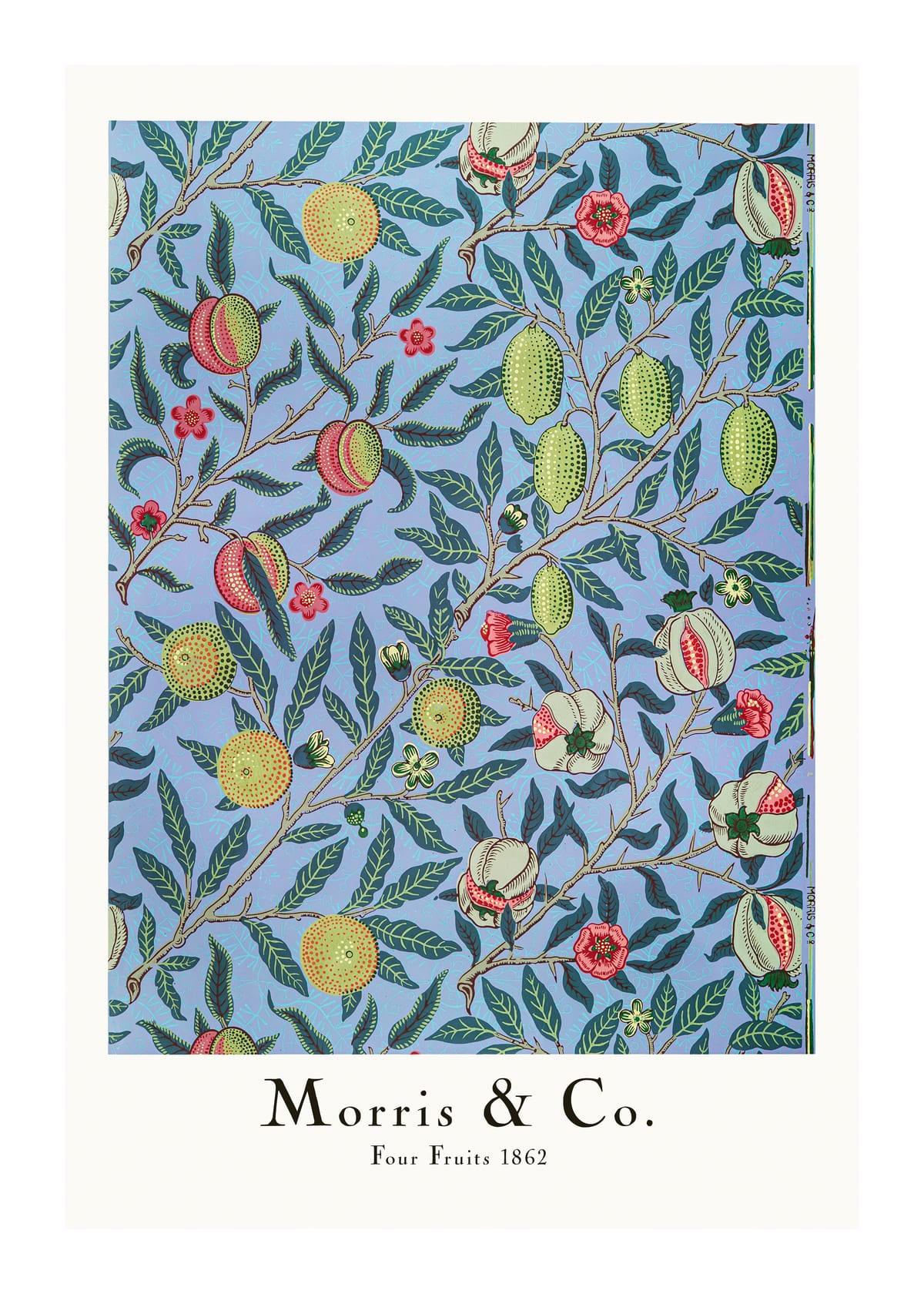 variant-50x70_with-margin