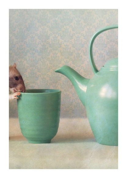 variant-50x70_with-margin