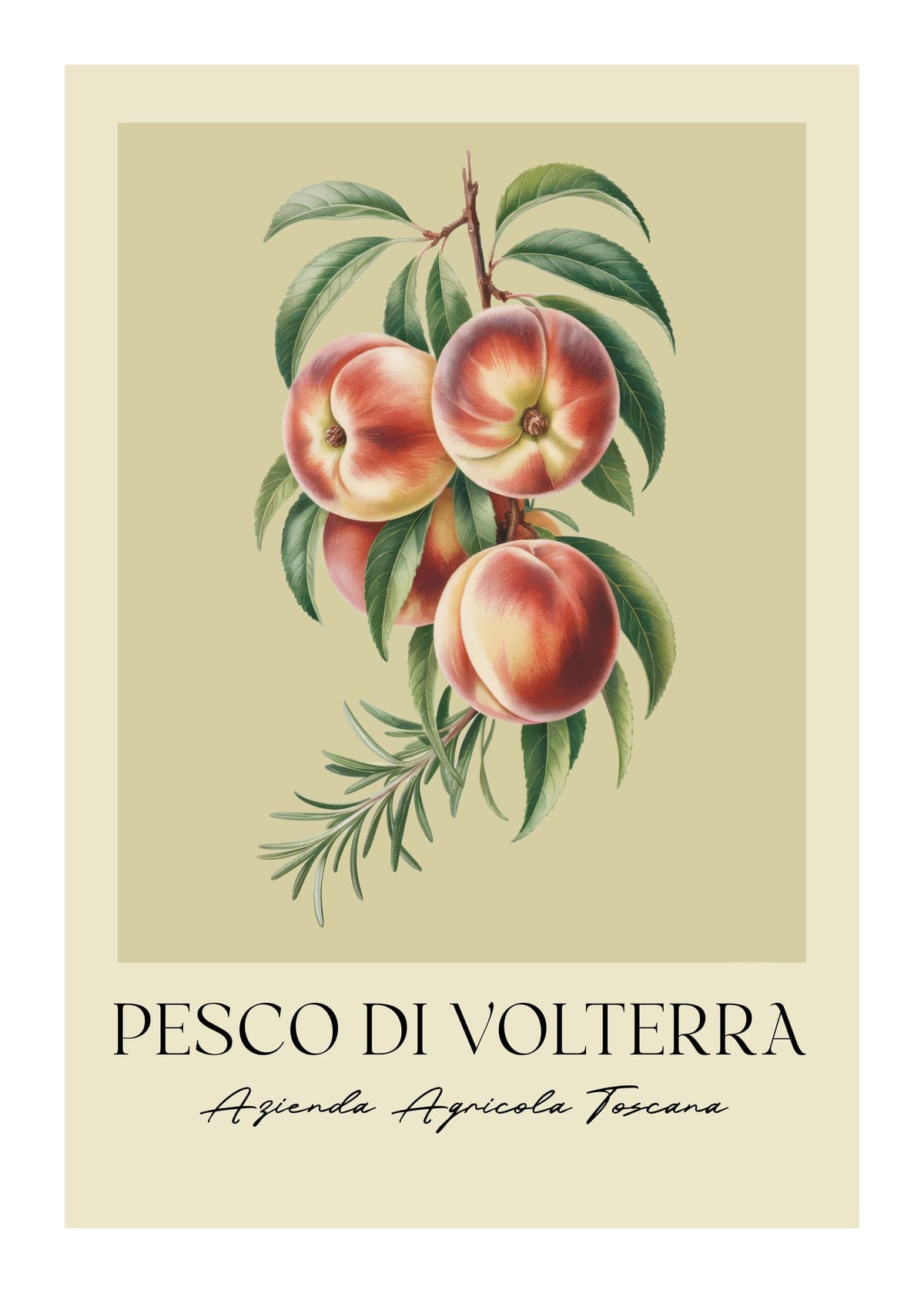 variant-50x70_with-margin