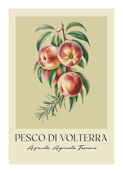 variant-50x70_with-margin