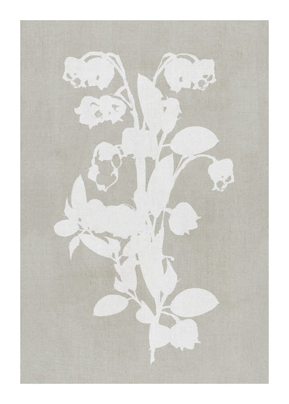variant-50x70_with-margin