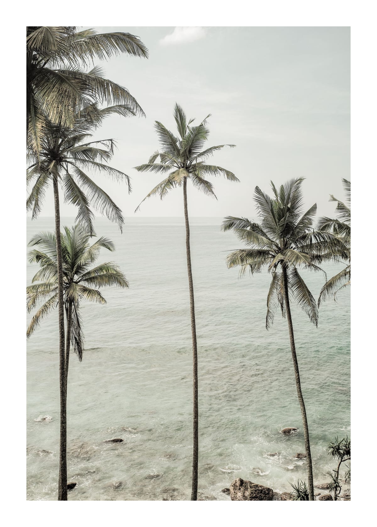variant-50x70_with-margin