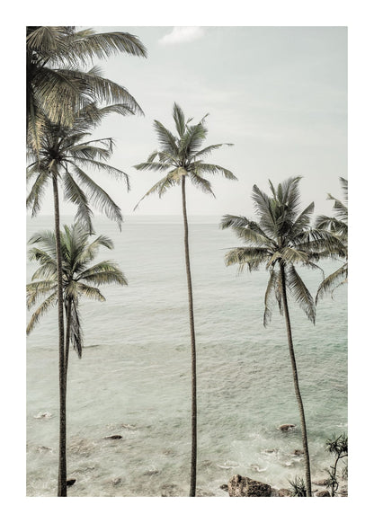 variant-50x70_with-margin