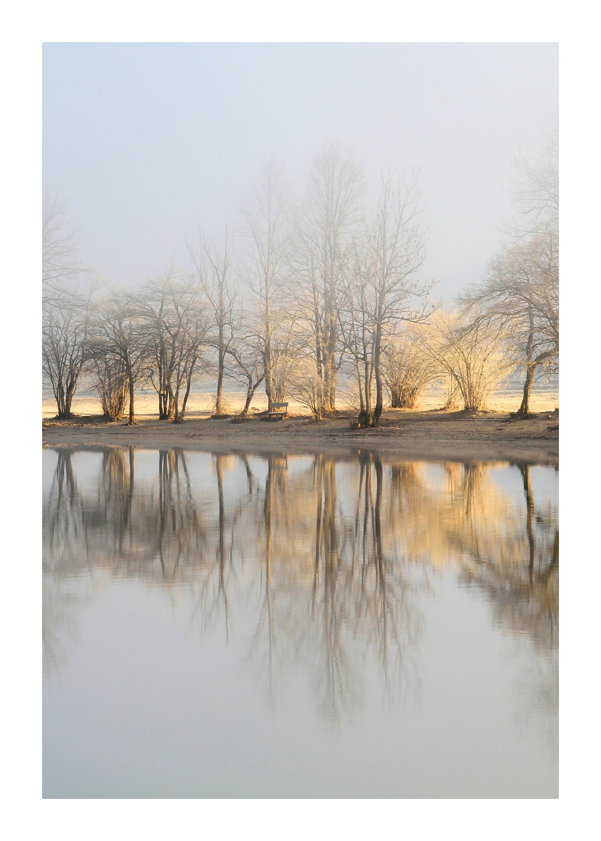 variant-50x70_with-margin