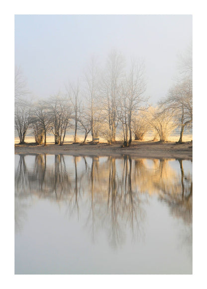 variant-50x70_with-margin