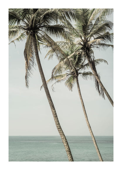 variant-50x70_with-margin