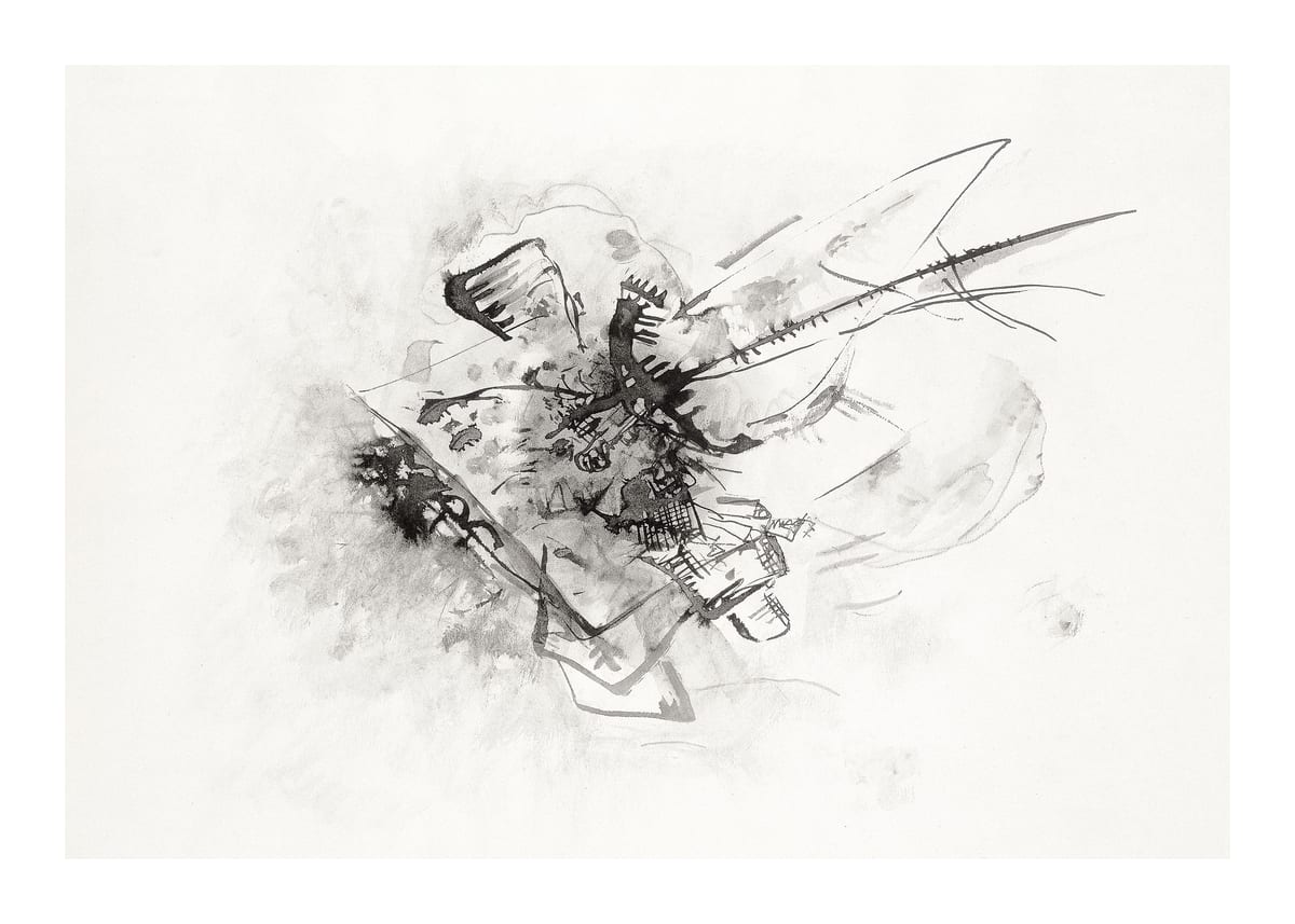variant-50x70_with-margin