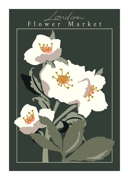 variant-50x70_with-margin