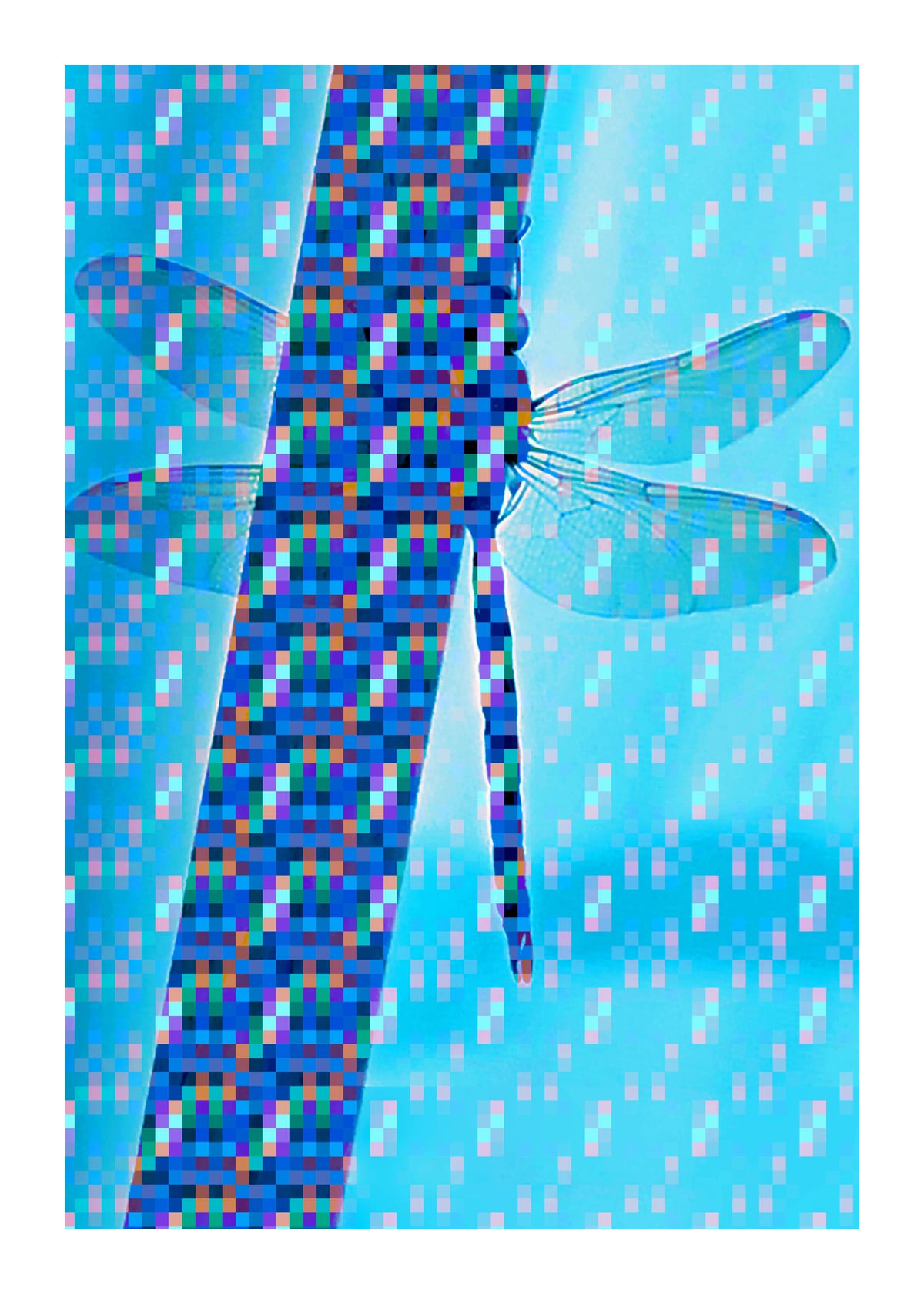 variant-50x70_with-margin