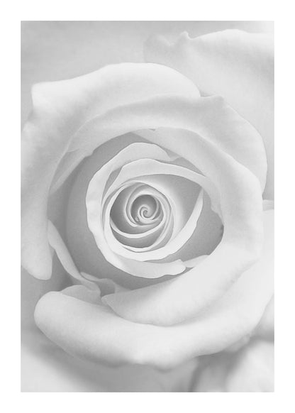 variant-50x70_with-margin