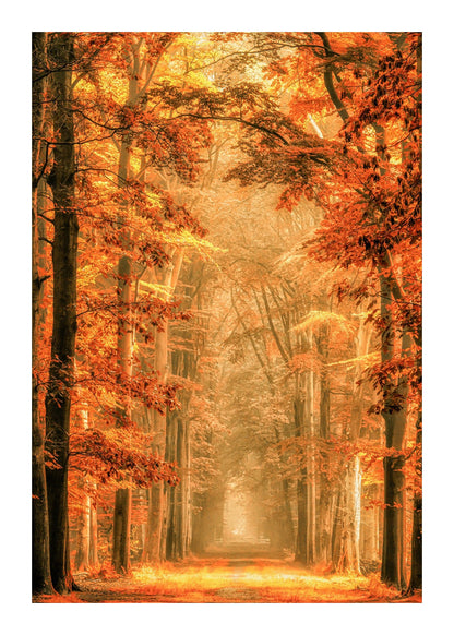 variant-50x70_with-margin