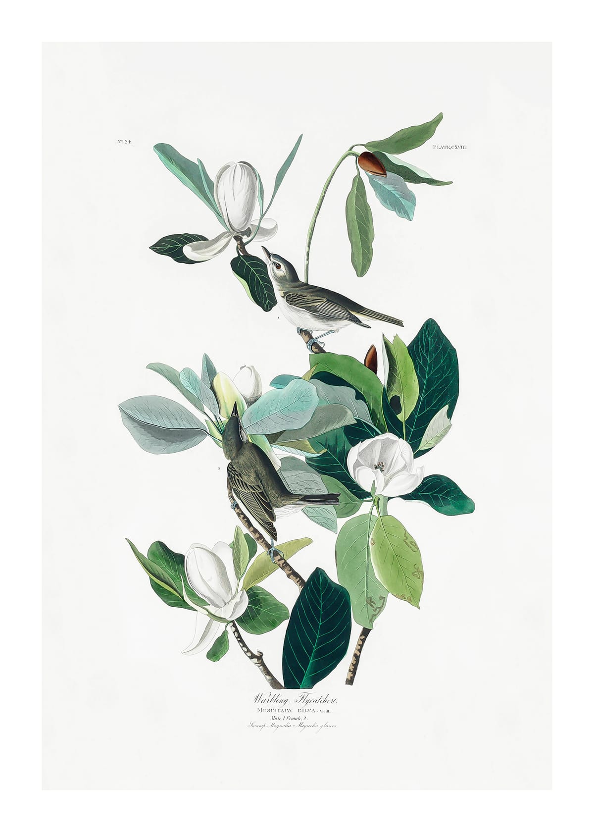 variant-50x70_with-margin