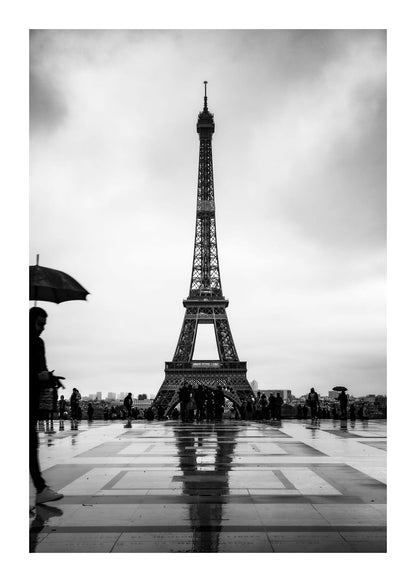 variant-50x70_with-margin