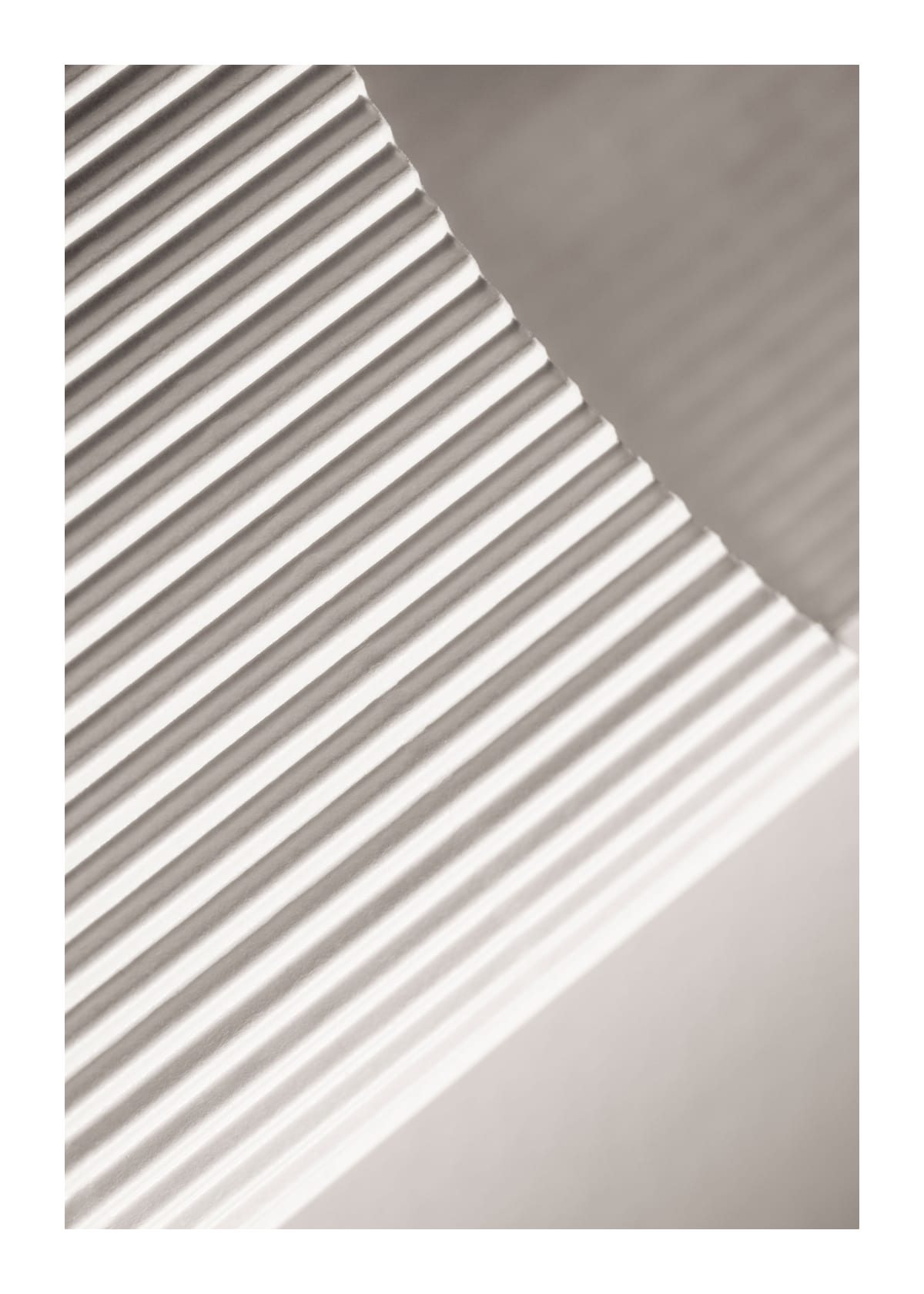 variant-50x70_with-margin