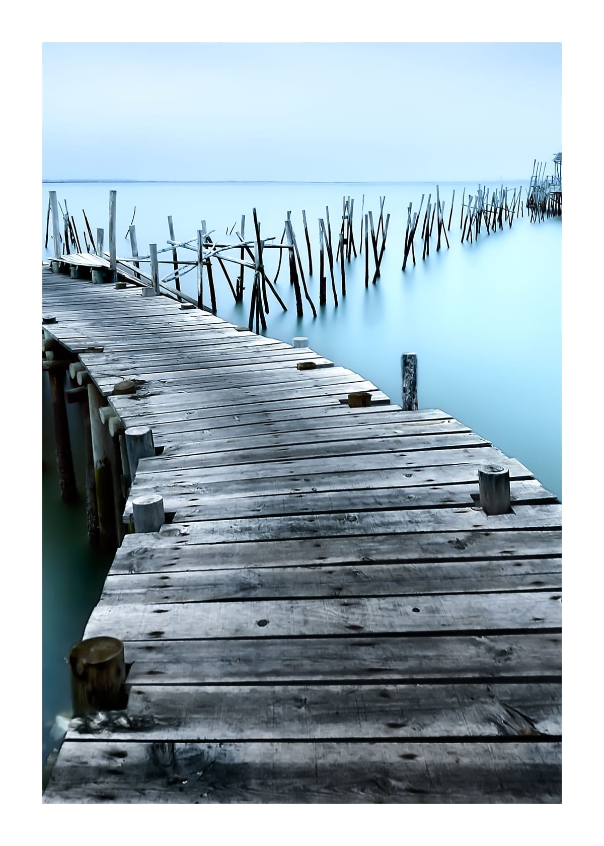 variant-50x70_with-margin