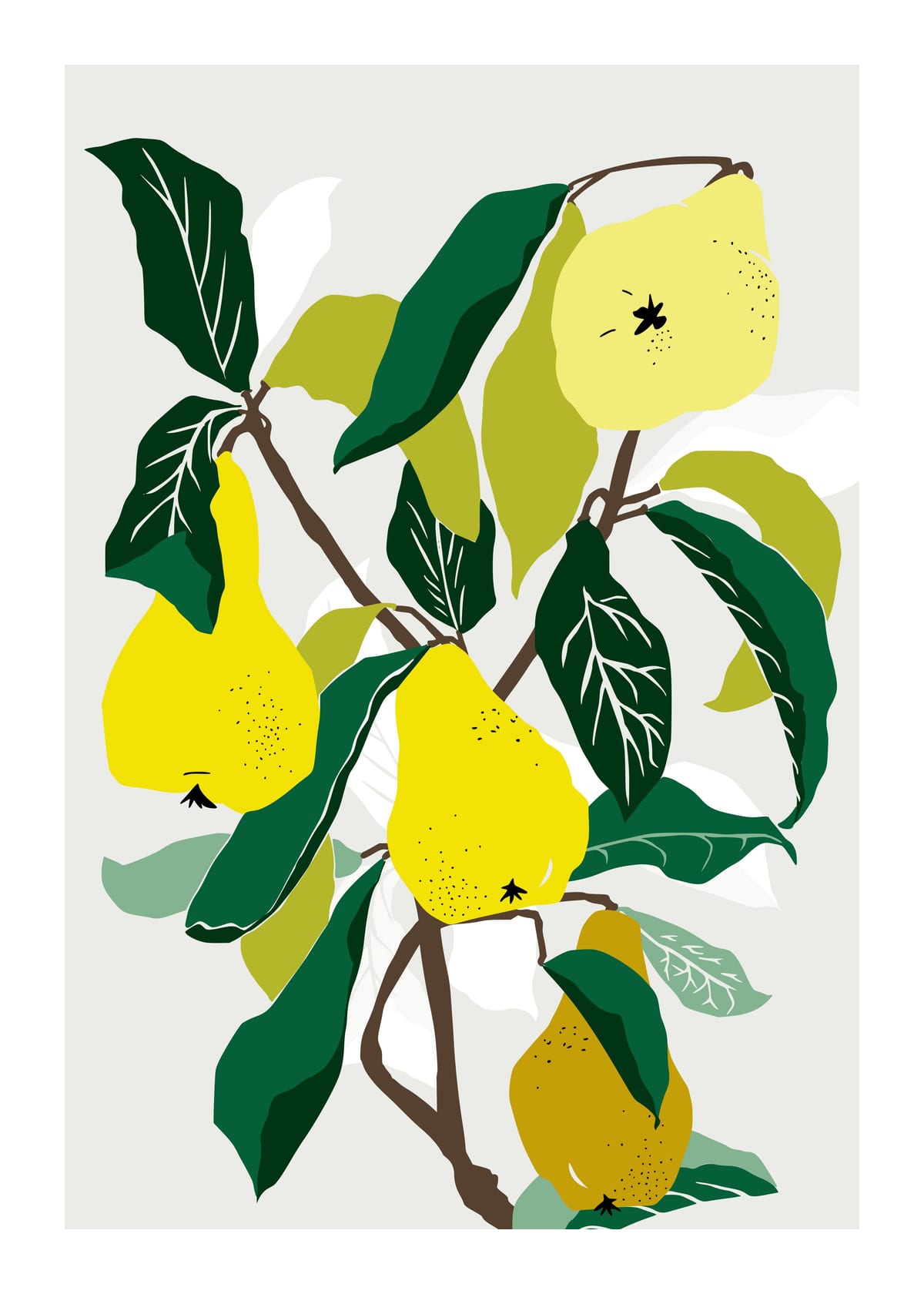 variant-50x70_with-margin