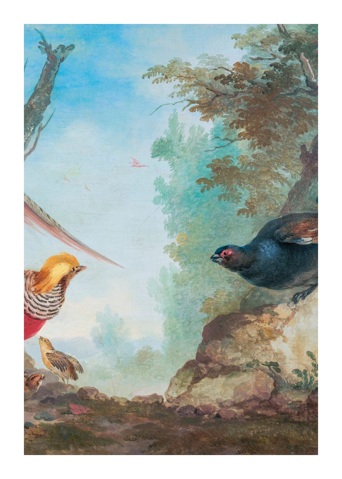 variant-50x70_with-margin