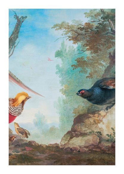 variant-50x70_with-margin