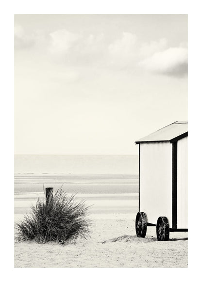 variant-50x70_with-margin