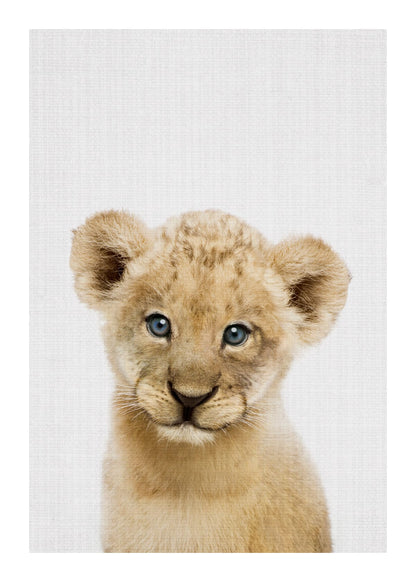 variant-50x70_with-margin