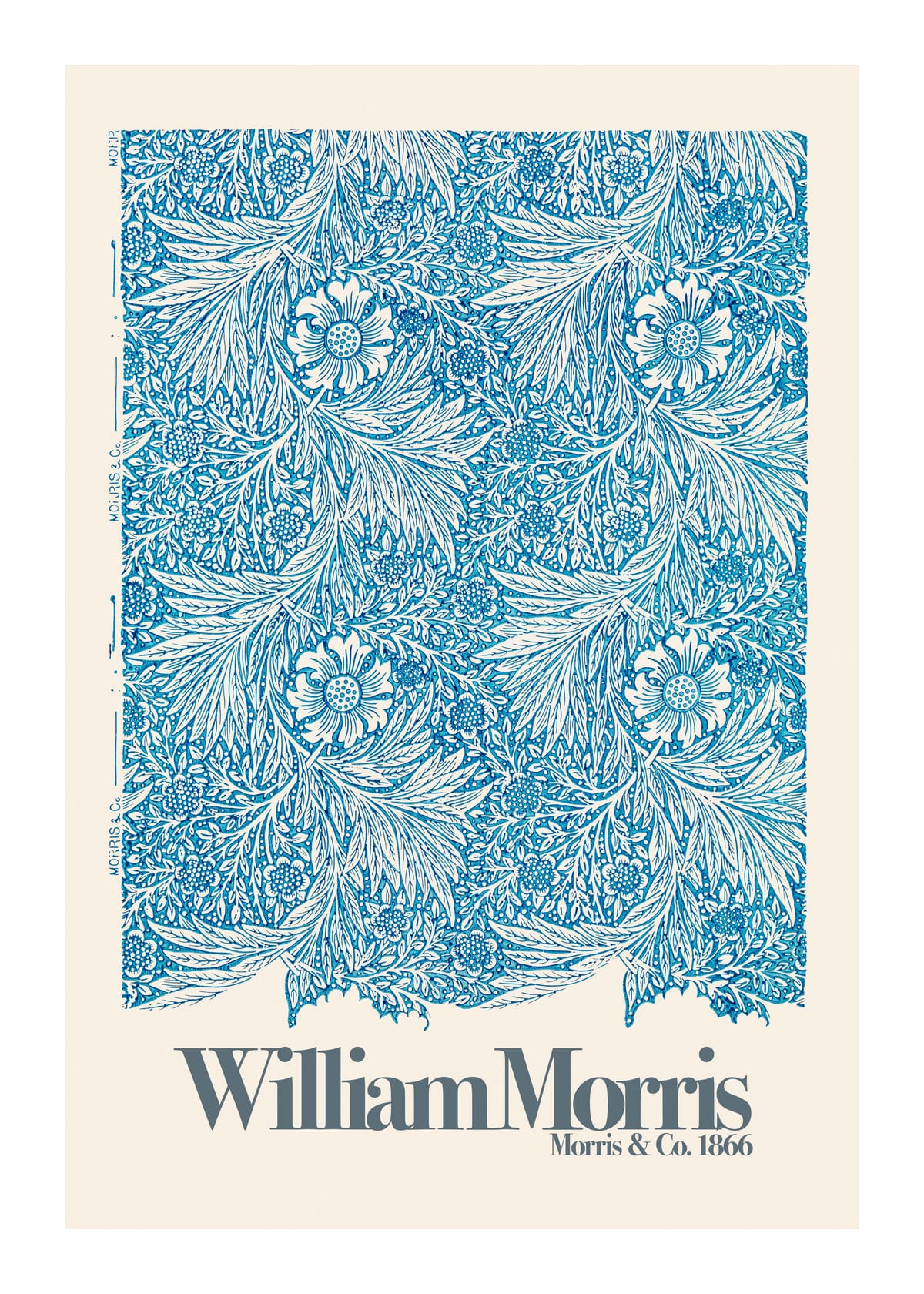 variant-50x70_with-margin