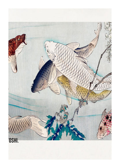 variant-50x70_with-margin