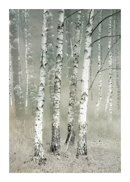 variant-50x70_with-margin