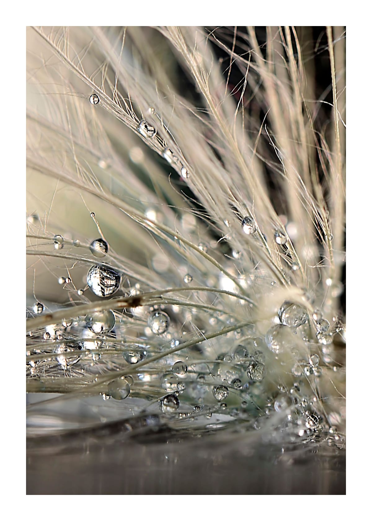 variant-50x70_with-margin