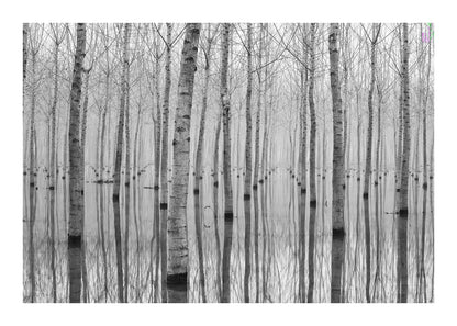 variant-50x70_with-margin